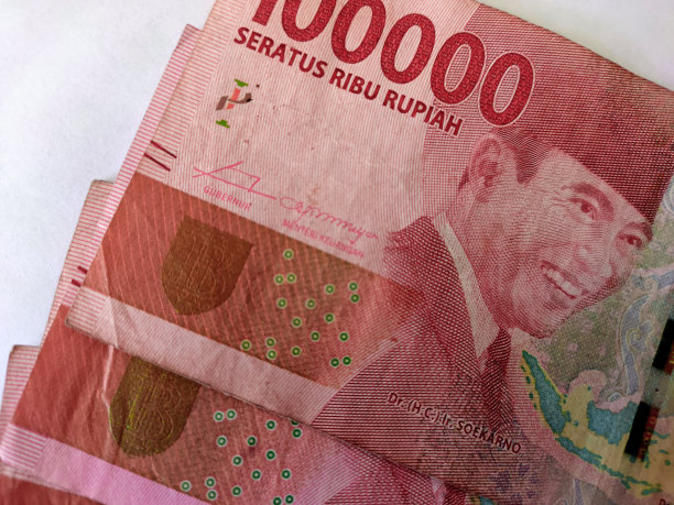 几十万卢比图片下载