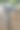 把账单给我图片下载