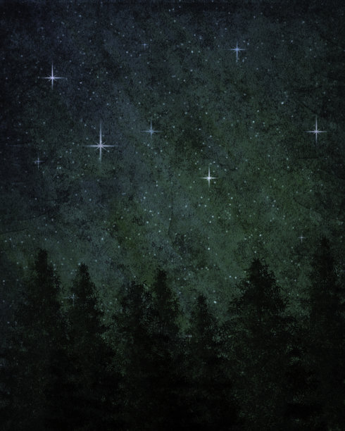 常青树的剪影在星空下图片下载