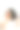 可爱的女人梳理她的头发前面的白色背景。图片下载