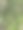 苔藓植物图片下载
