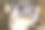 牛鼻子的特写图片下载