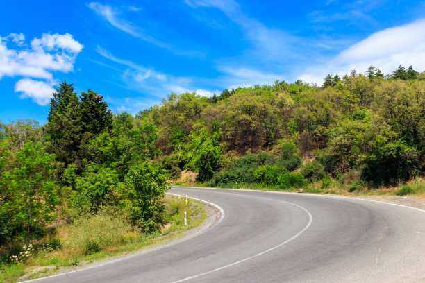 柏油路蜿蜒在绿色的森林里图片下载