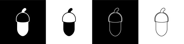 设置橡果图标隔离在黑色和白色图片下载