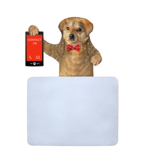 狗拿着手机用短信联系我们2图片下载