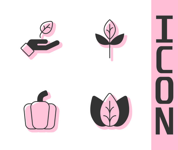 套叶或叶植物手椒和图片下载