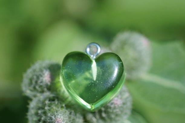 绿色背景上的绿色心。图片下载