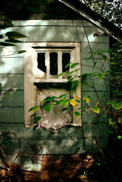 放弃了家庭图片下载