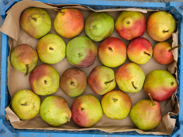 成熟的有机梨装在板条箱里图片下载