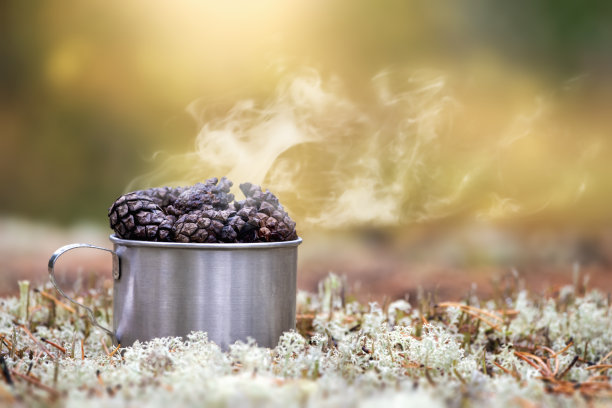 露营圈里有酿造的松果。徒步旅行的食物和膳食。图片下载