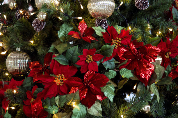 照片背景材料为圣诞节装饰图片下载