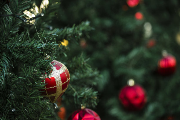 照片背景材料为圣诞节装饰图片下载