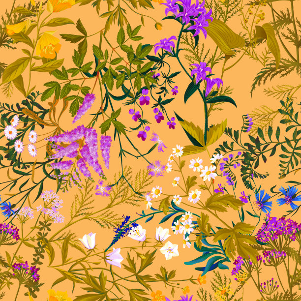 园林花卉、草本植物。花卉领域。夏季的主题混合了草地和花园的花朵。矢车菊，雏菊，钟形花，洋甘菊，杂草。图片下载