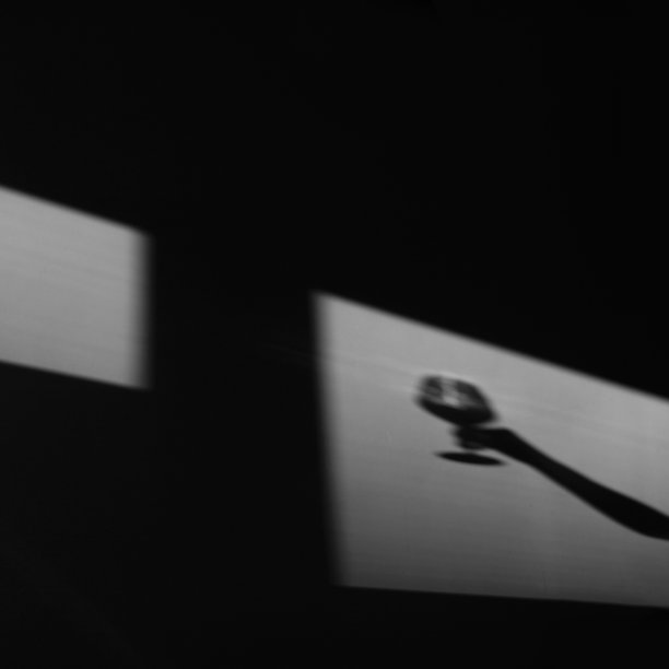 墙上的影子里有一个端着一杯葡萄酒的女侍。一个喝酒的女孩的剪影。窗外的明暗对比图片下载