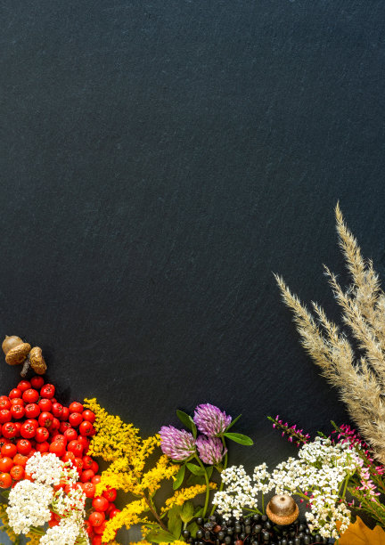 秋天的色彩，平铺，真正的树叶，种子和果实与秋天有关，黑色的石头背景与空间的题字，垂直的照片图片下载