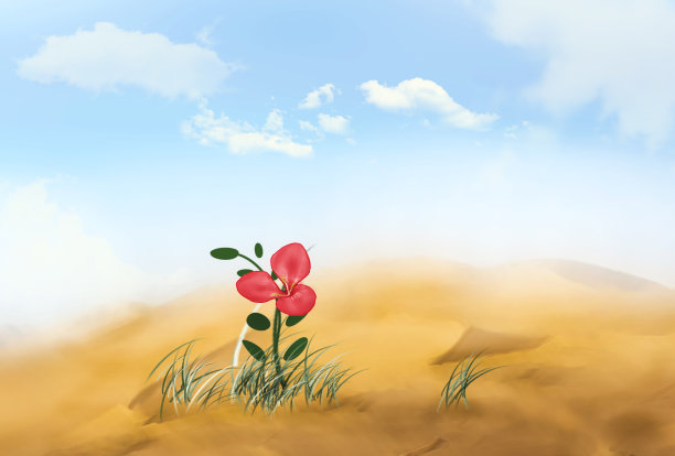 一朵粉红色花瓣的花独自生长在沙漠中。图片下载