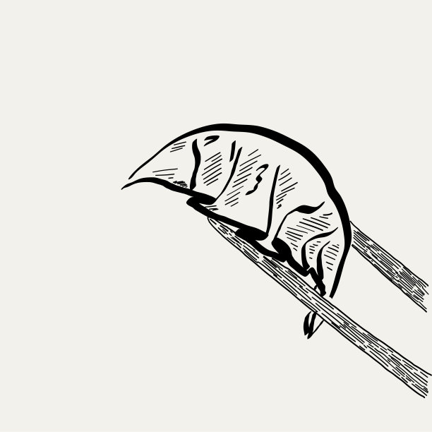 饺子和筷子。素描的食物。饺子图片下载