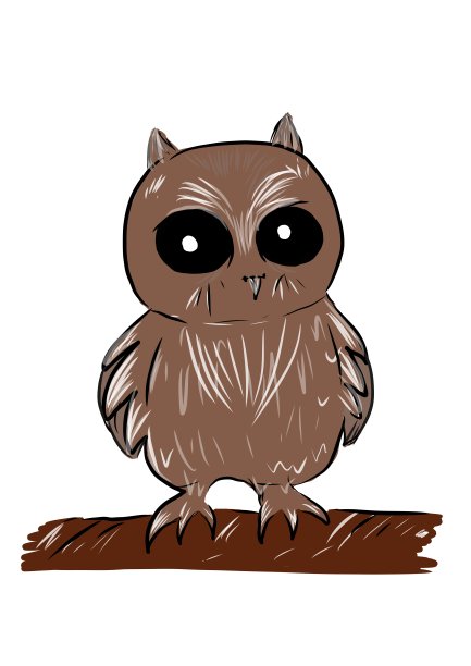 树枝上的猫头鹰图片下载