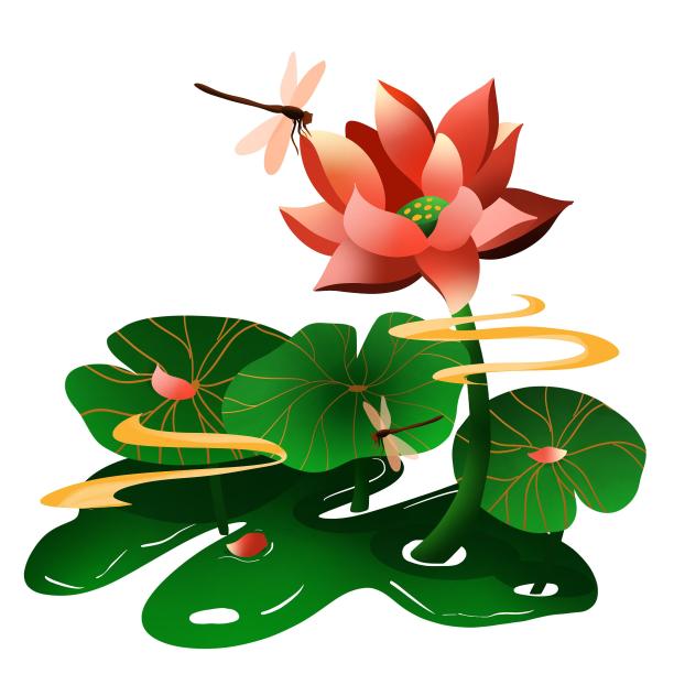 夏至荷花荷叶蜻蜓图片下载