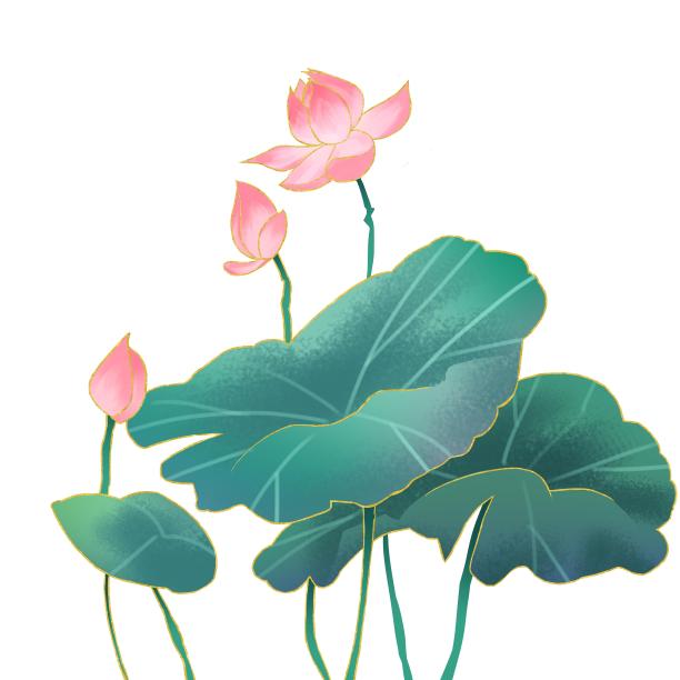 古风水墨荷花和荷叶组合图片下载