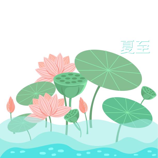 夏至清新荷塘图片下载