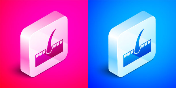 在粉红色和蓝色背景上分离的等长人类毛囊图标。头发护理治疗。银广场按钮。向量图片下载