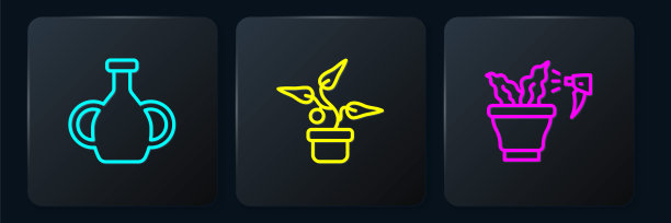 设置线条花瓶，喷绘植物和花盆。黑色方形按钮。向量图片下载