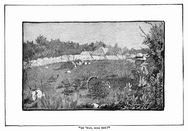 黑人女孩赶走感恩节火鸡图片下载