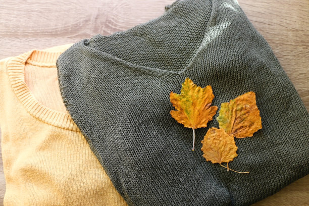 毛衣和秋叶图片下载