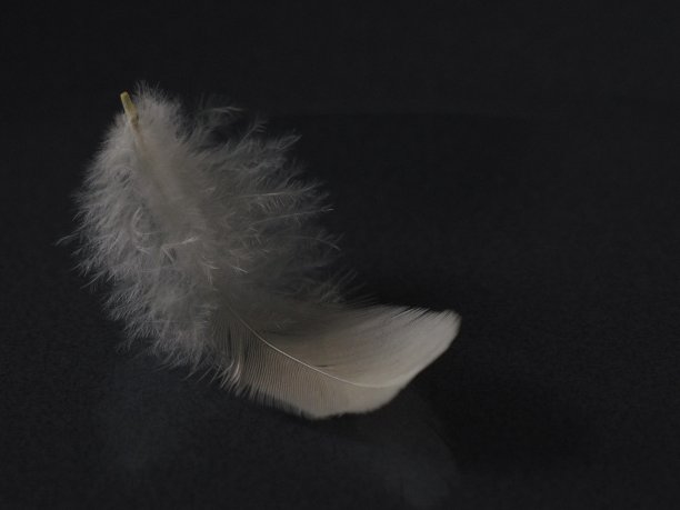 的壮举图片下载