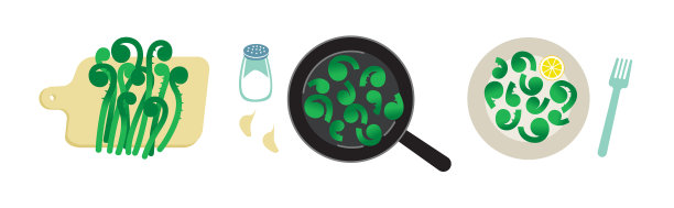 春季蕨类叶蒸煮加工野生植物图片下载