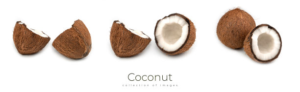 白色背景下孤立的椰子。宏观照片。椰子集图片下载