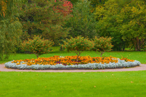 城市公园里有五颜六色的黄色金盏花和装饰树木图片下载
