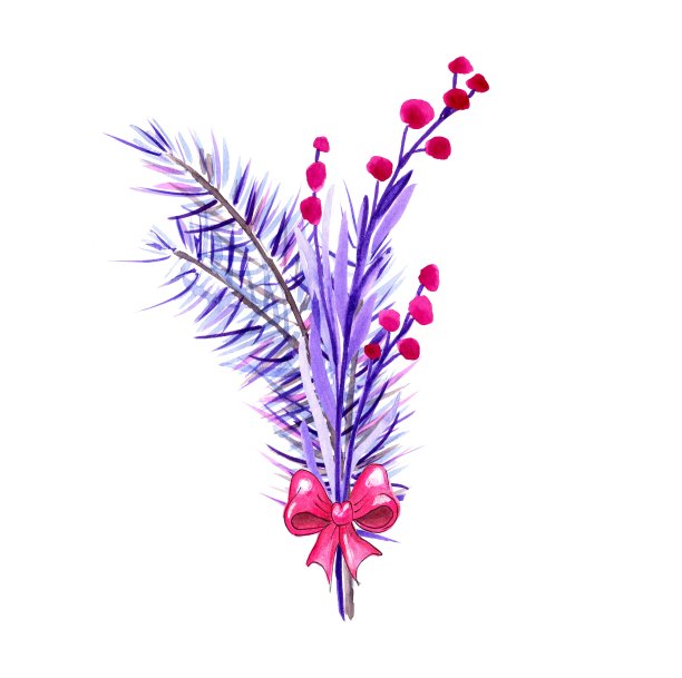 圣诞树枝端浆果，冬季装饰，蓝色。孤立的,白色背景。水彩手绘插图图片下载
