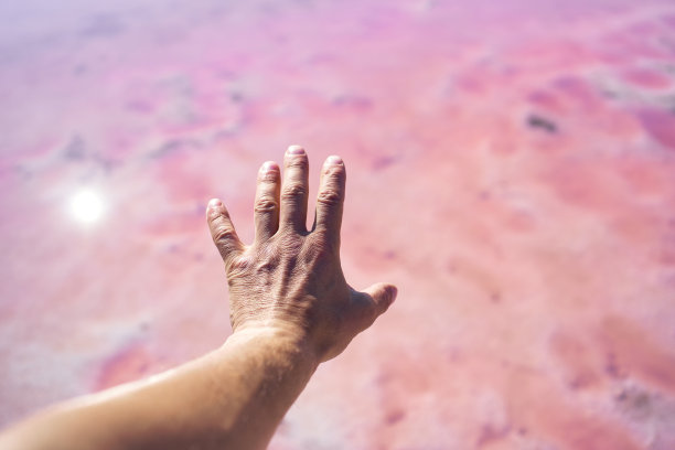 第一个人看男人手在粉红色的湖的背景图片下载