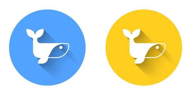 白鲸图标孤立与长影子图片下载