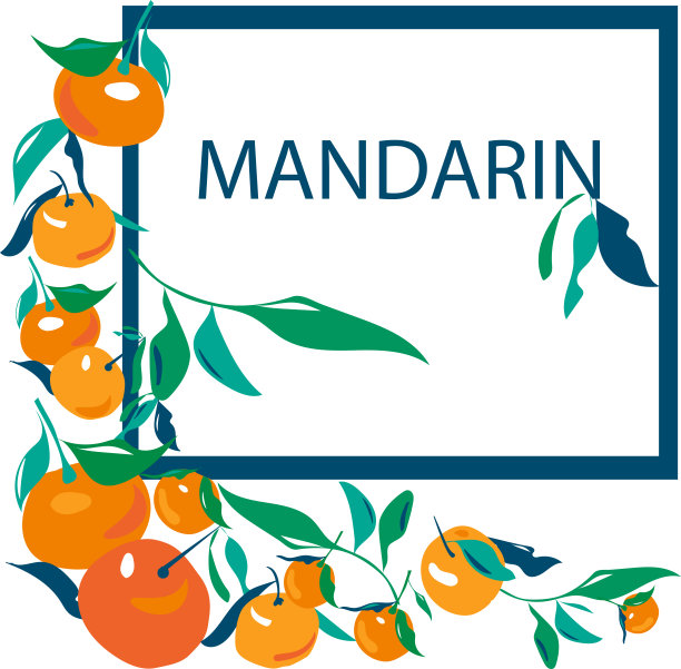 在白色背景上不同大小的橘子和叶子的框架图片下载