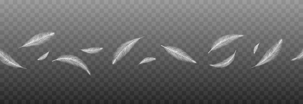 矢量羽毛在一个孤立的透明背景。飘落的羽毛png，飞翔的羽毛png。图片下载