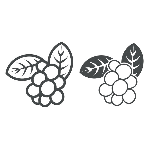 咖啡浆果叶线和固体图标图片下载