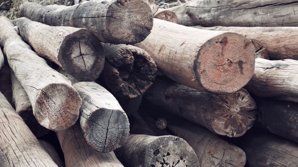 木桩，工艺品的主要原料(柚木)图片下载