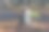 松果体sibirica。西伯利亚北部松树林中的一个树桩图片下载