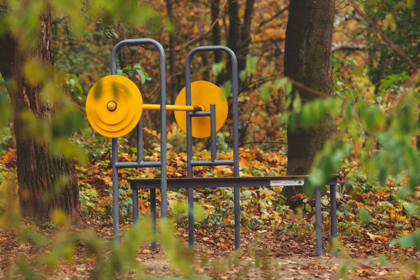 在秋天的城市公园，健身者模拟训练室外图片下载