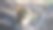 贾斯珀国家公园的松鼠图片下载