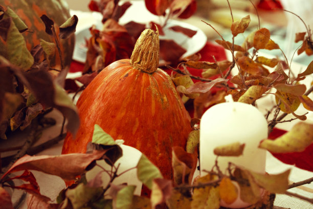 时尚的感恩节秋天餐桌装饰南瓜和干树枝图片下载
