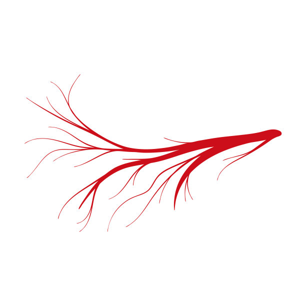 静脉的人类卡通图标图片下载