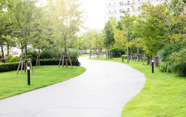 花园里的小路图片下载