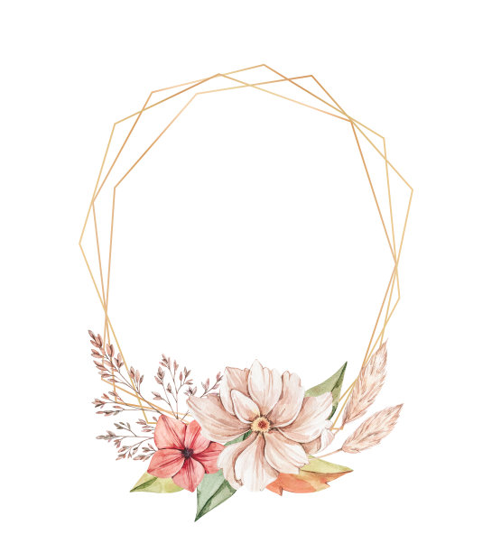 水彩植物插图。带有金色边框和野生花朵的秋季画框。温柔的牡丹，红花，朝鲜蓟，枝叶。完美的婚礼请柬，相框，海报，包装图片下载