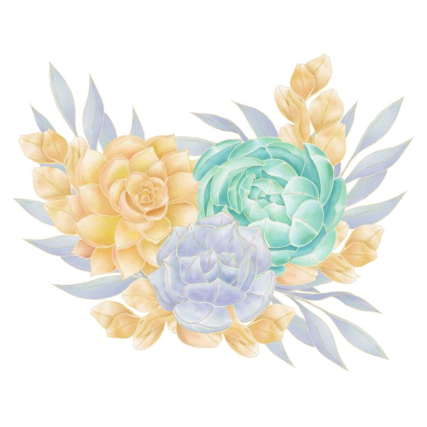 水彩插图的多肉，橙色，蓝色和绿色的树枝图片下载