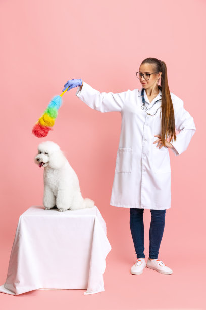 年轻美丽的女人的肖像，兽医照顾白色的狮子狗孤立在粉红色的工作室背景。宠物护理，人类日常生活中的动物。图片下载