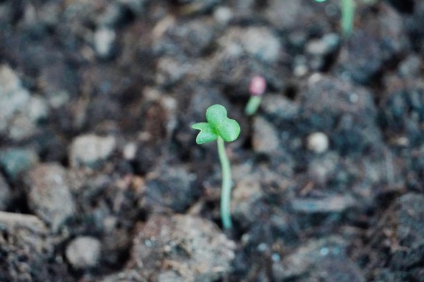 小工厂图片下载